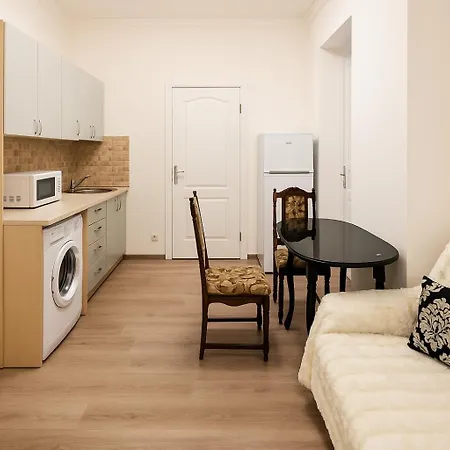 Apartment Of Franka Street.